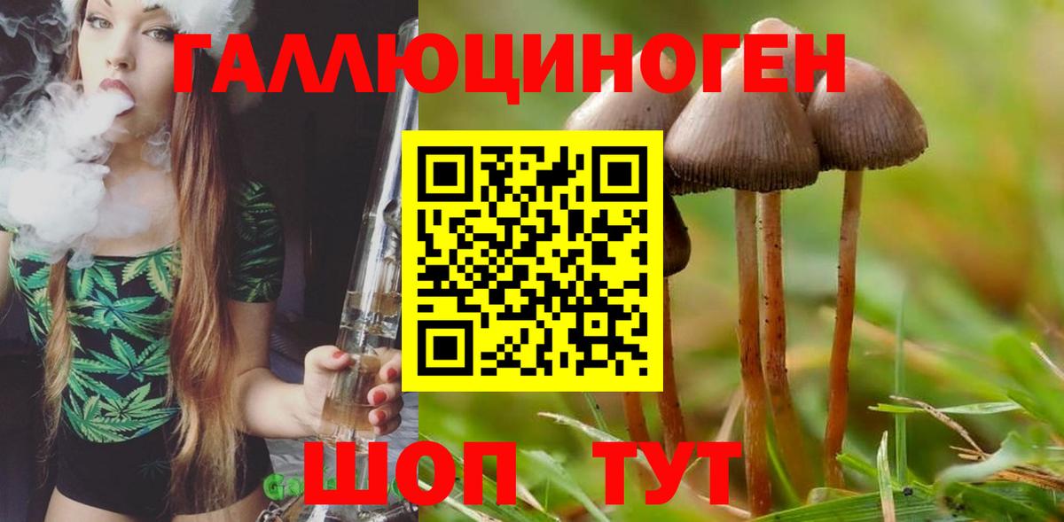 Псилоцибиновые грибы Psilocybine cubensis  Вход с VPN  Фрязино 