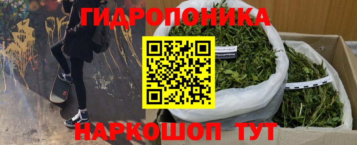 Конопля план Фрязино